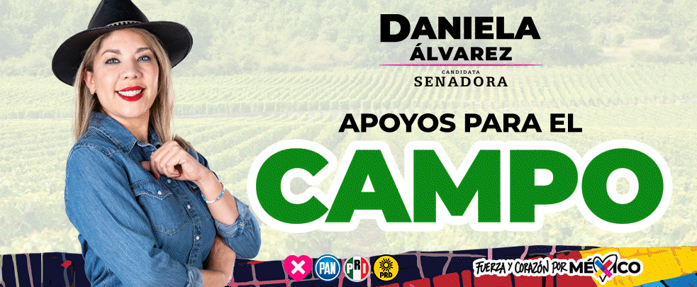 Publicaciones